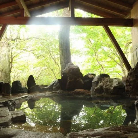 Nasu Onsen Gasthof Nasu Hana - Tochigi