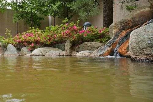 フォトアルバム2