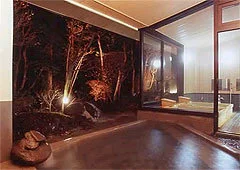 Nikko Onsen Hotel Seikoen - Tochigi