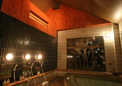 新那須温泉 燈邸(ともしびてい) - 栃木県