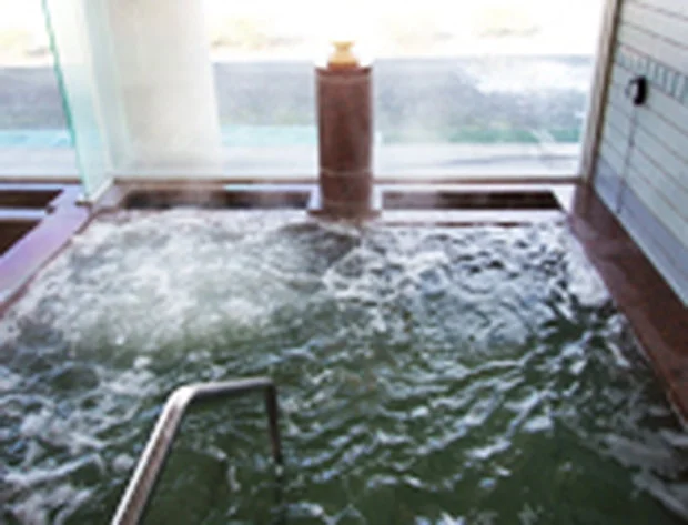 道の駅はが ロマンの湯