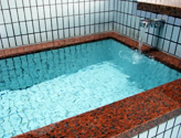 道の駅はが ロマンの湯