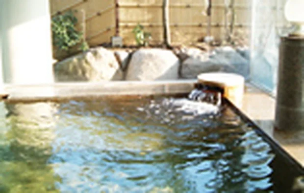 道の駅はが ロマンの湯