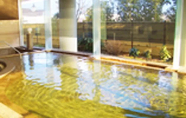 道の駅はが ロマンの湯