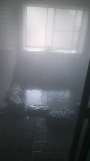 小口温泉 小口館下の湯