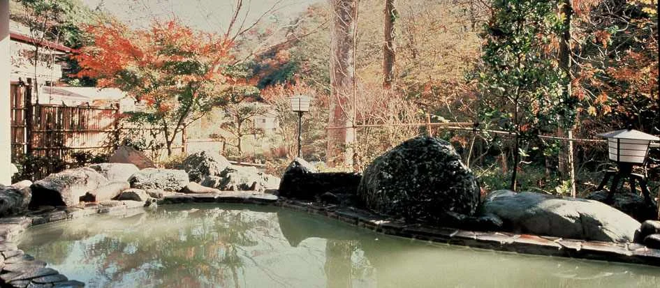 トップメイン画像4