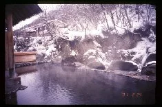 川俣一柳閣