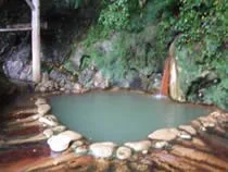 岩の湯(閉館しました)