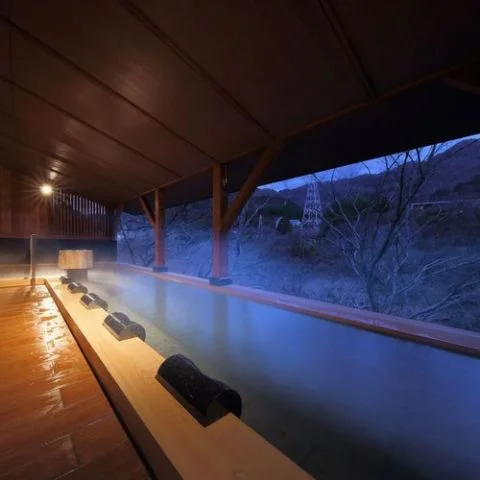 鬼怒川温泉 静寂とまごころの宿 七重八重 - 栃木県