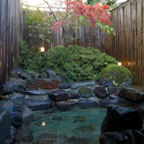 ホテル ナチュラルガーデン日光 - 栃木県