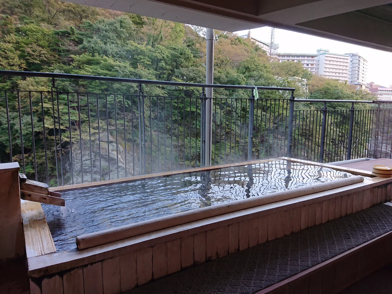 鬼怒川プラザホテル