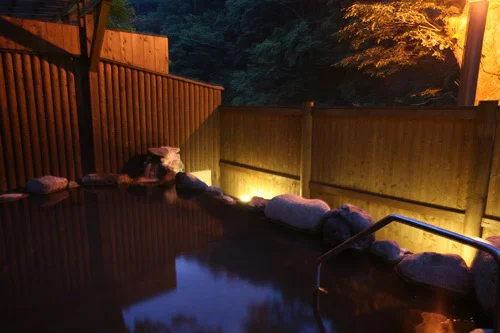 Fukko Onyado Futabaenohayabusa Nasu Shiobara Hikyoku no Yu Aoi - Tochigi