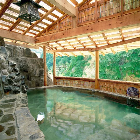 川俣観光ホテル　仙心亭 - 栃木県