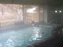 塩原グリーンビレッジ 森のいで湯　福のゆ　（旧＜開運＞福の湯）