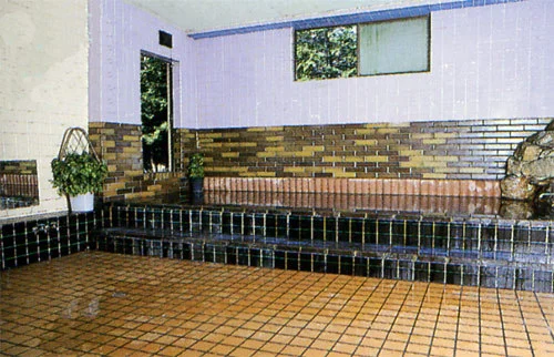 Kuroiso Aoki Onsen, Mashima Ryokan - Tochigi