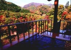 鬼怒川温泉 きぬ川不動瀧 - 栃木県