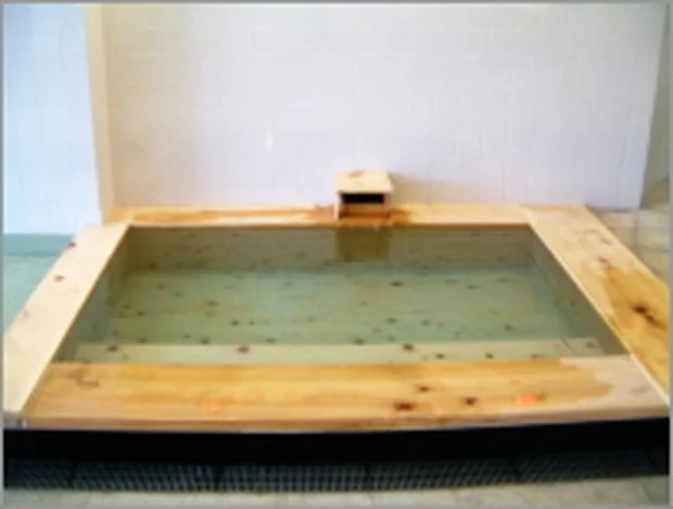 ニューサンピア栃木 鹿沼温泉 華ゆらり(閉館しました)