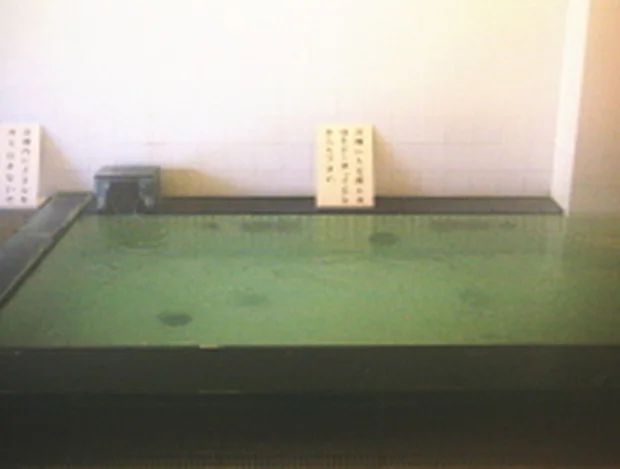 ニューサンピア栃木 鹿沼温泉 華ゆらり(閉館しました)