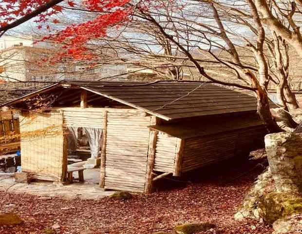 もみじの湯