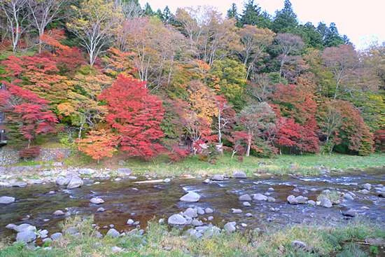 もみじの湯