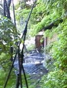 もみじの湯