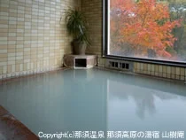 Nasu Onsen Nasu Highlands Yuyado Santree - Tochigi