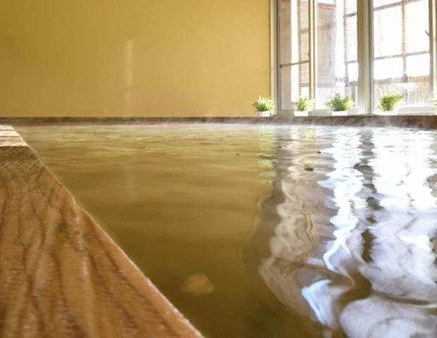 復興御宿　富双江葉大馬　鬼怒川秘極の湯　風(閉館しました)