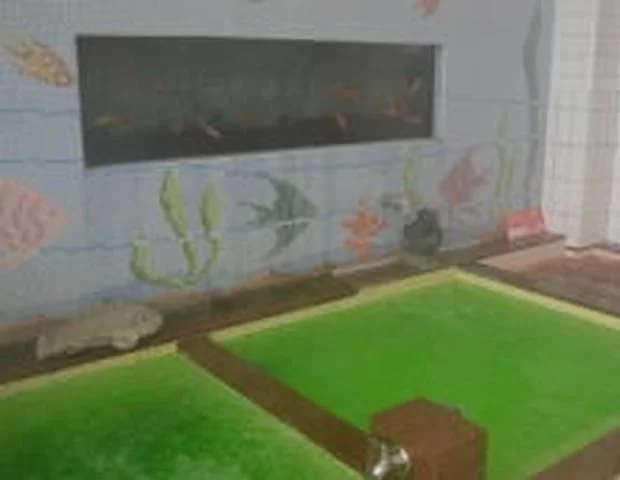 玉川の湯 (金魚湯)