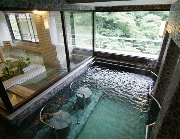 湯けむりまごころの宿　一心舘