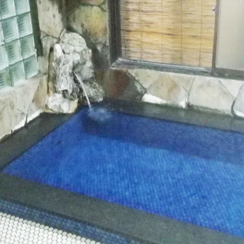 川治温泉　元湯　白井屋 - 栃木県