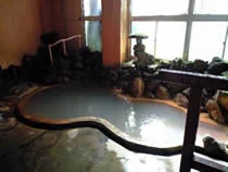 弁天温泉旅館(閉館しました)