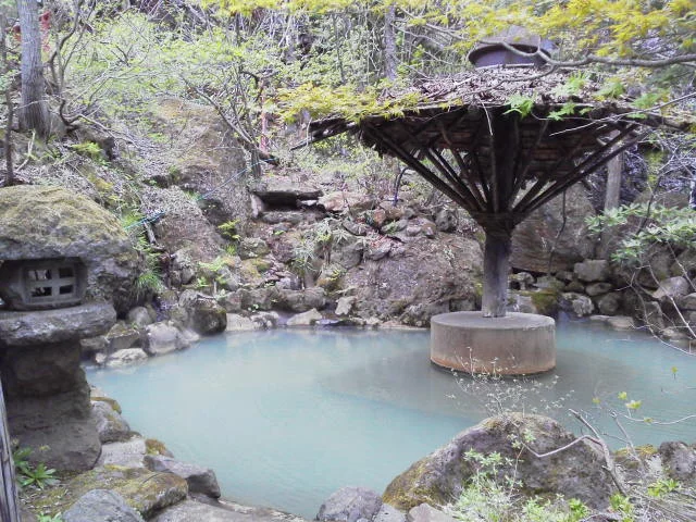 弁天温泉旅館(閉館しました)