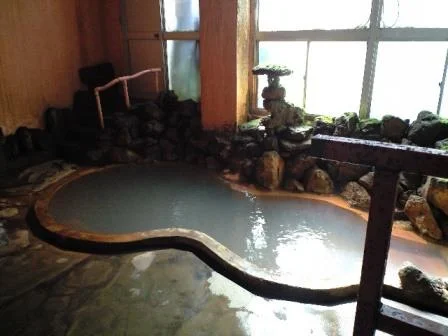 弁天温泉旅館(閉館しました)