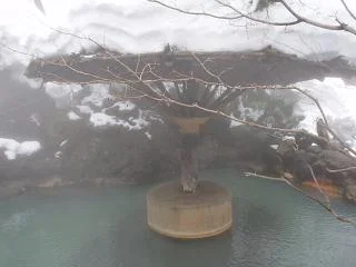 弁天温泉旅館(閉館しました)