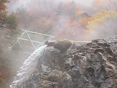 女夫渕温泉ホテル（閉館しました）