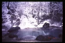 女夫渕温泉ホテル（閉館しました）