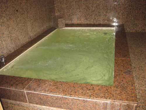 Tokiwakan Ryokan - Nikko - Tochigi