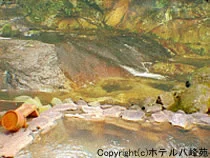 ホテル八峰苑(閉館しました)