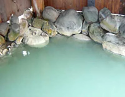 幸の湖ホテル（閉館しました）