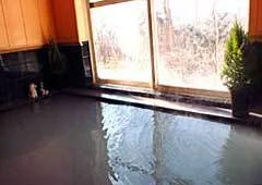 Nasu Highlands Private Hot Spring Pension TAM! - Tochigi