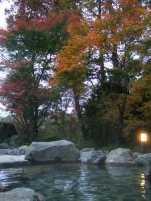 日光小倉山温泉 春暁庭ゆりん