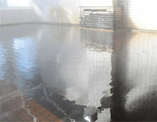 ホリデーイン ホテル十勝川 - 北海道