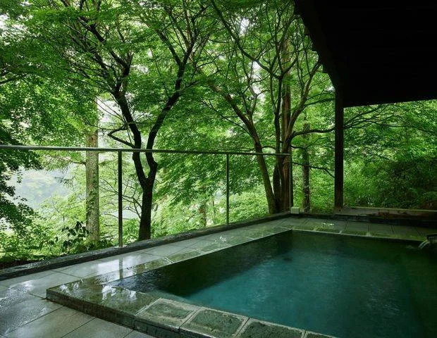 湯治温泉リトリート宿 板室別邸 SPA 和薬草（旧 フォレストヒルズ那須 板室別邸）