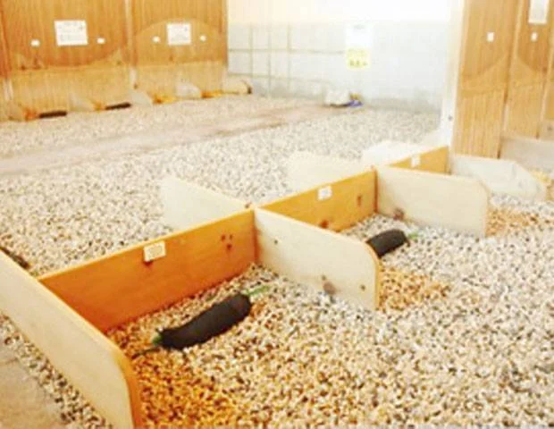 嵐の湯 KISEKI 宇都宮（閉館しました）