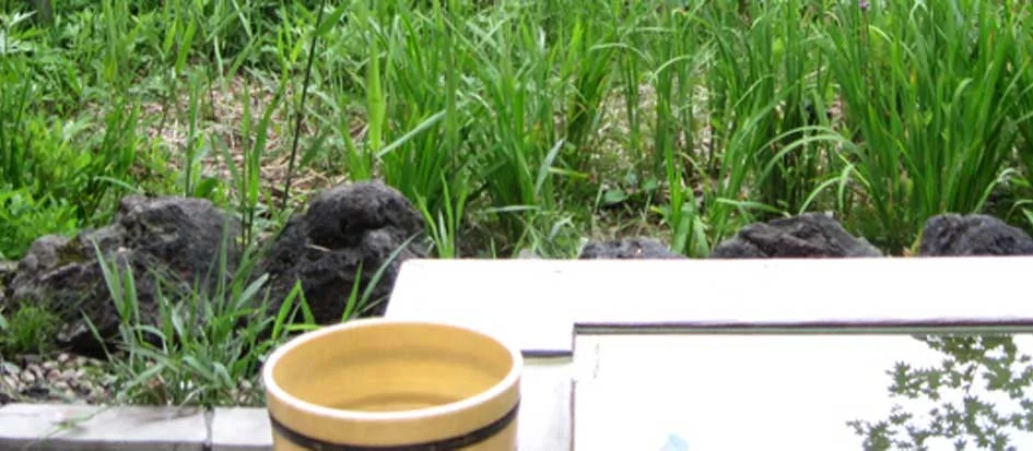 トップメイン画像1