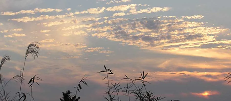 トップメイン画像4