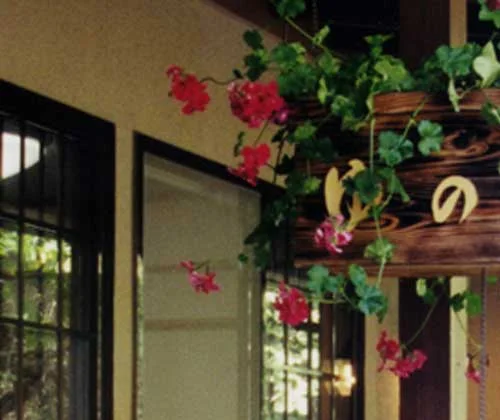 フォトアルバム1