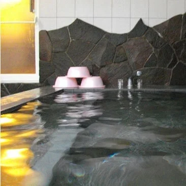 Nasu Onsen Pension Alpen Peter - Tochigi