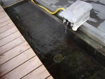 塩原もの語り館 足湯