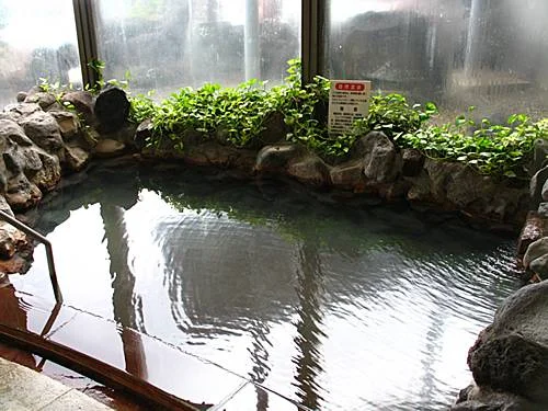 那須ビューホテル(閉館しました)